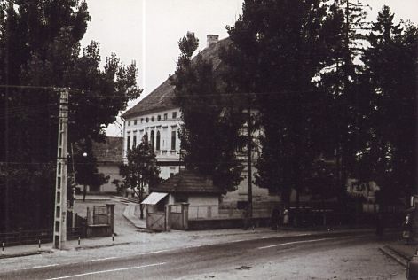 langosozo.jpg